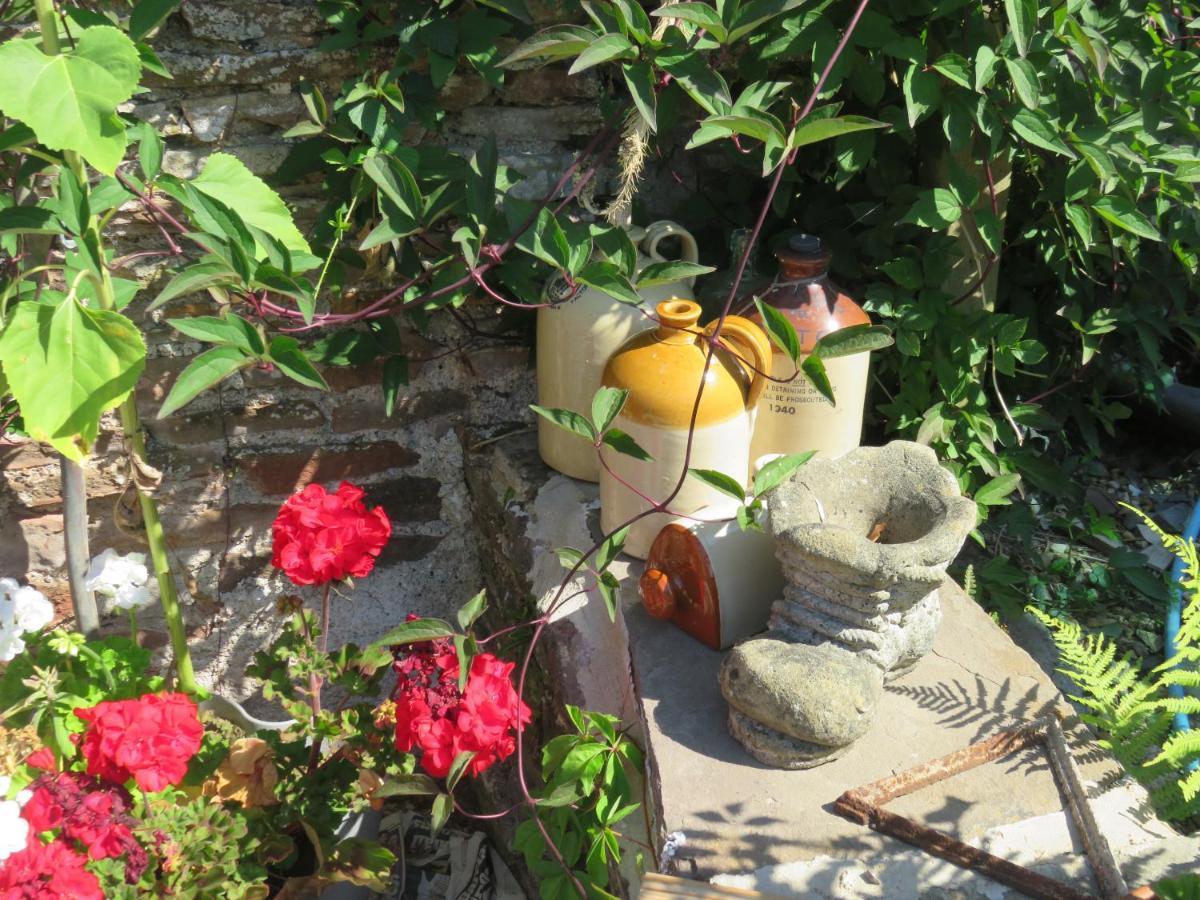 Little Orchard Apartment Pont Yates Εξωτερικό φωτογραφία