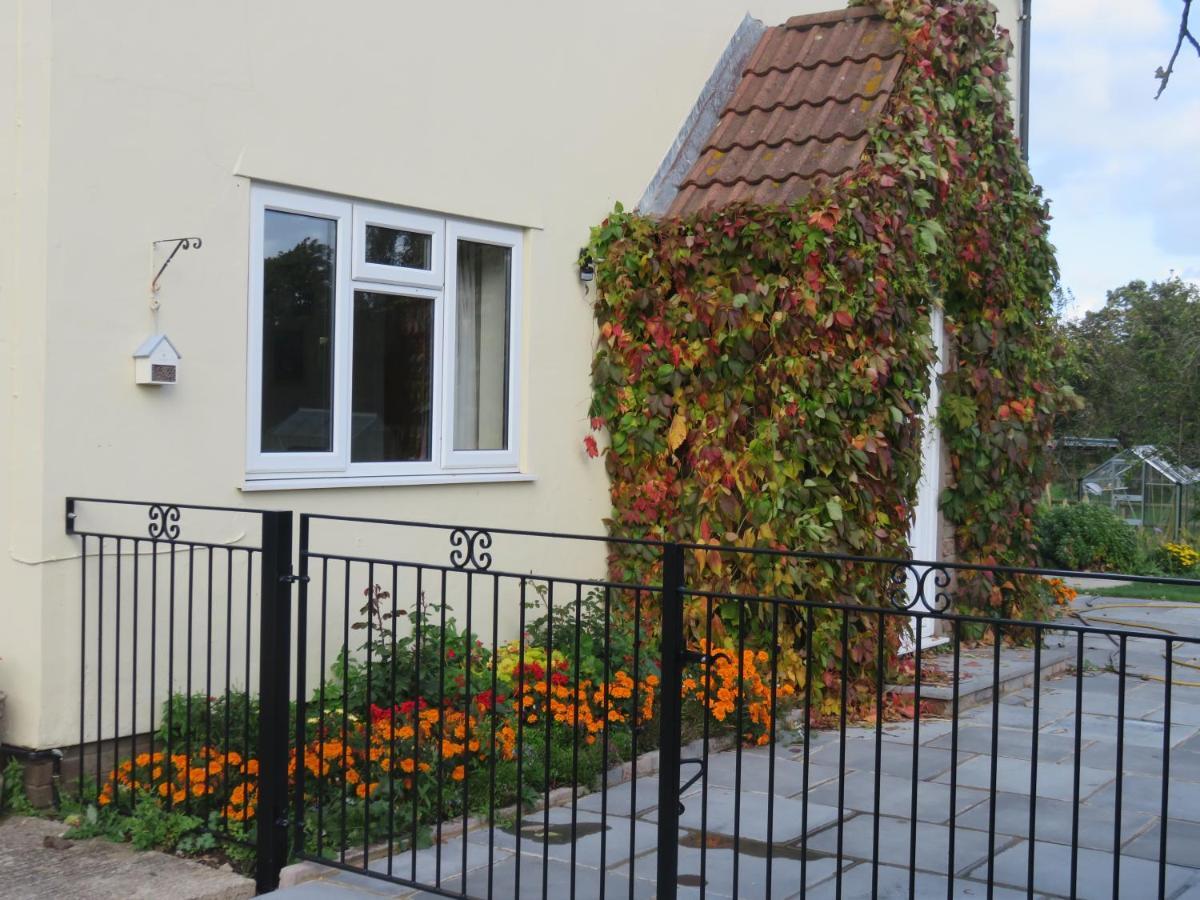 Little Orchard Apartment Pont Yates Εξωτερικό φωτογραφία